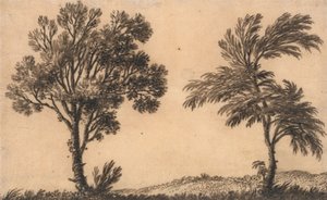 Studio di due salici da Alexander Cozens